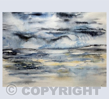 Tern In The Weather