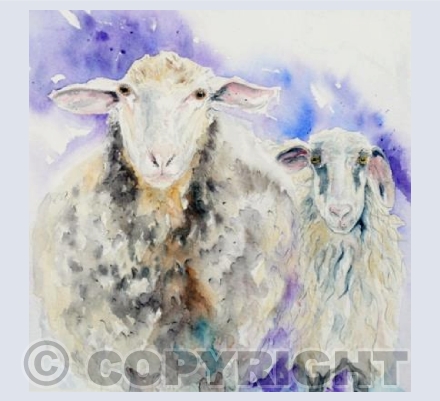 "Baaa Humbug!"