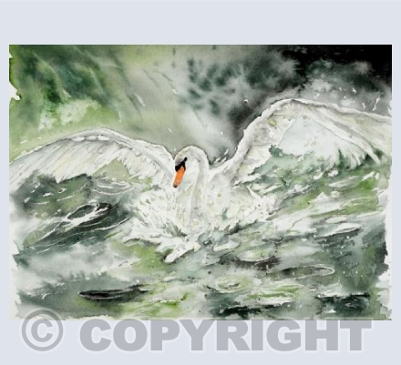 "Taking Flight"