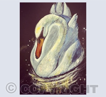 Swan