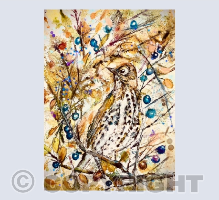 Bird in the Blackthorn