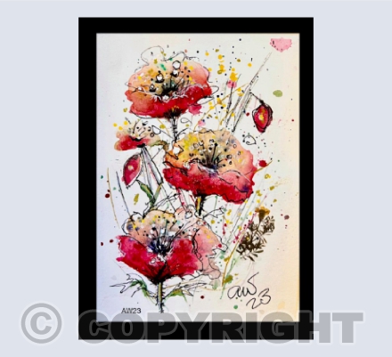wild poppy