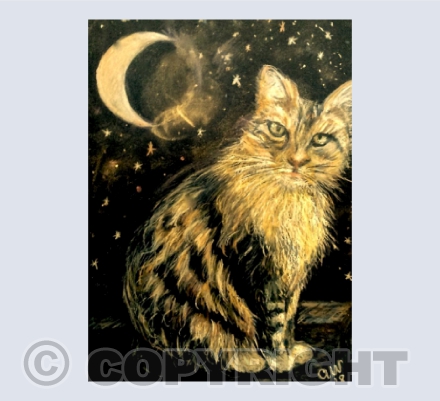 Gus the Cat