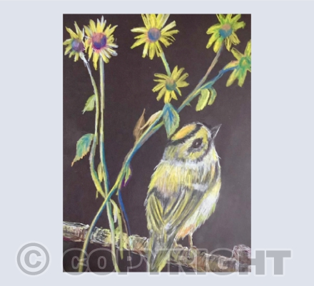 Goldcrest