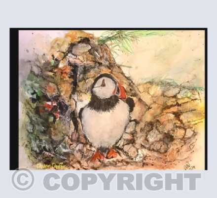 Peter Puffin