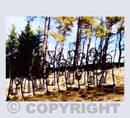 The witches at Aitken wood near Pendle