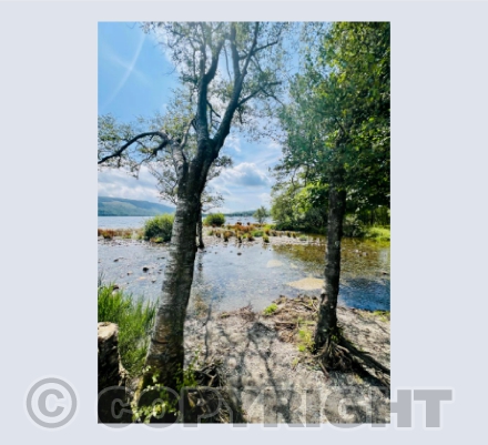 A quiet corner of Coniston