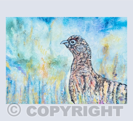 Red Grouse