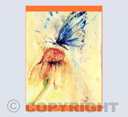 Blue Butterfly on Flower