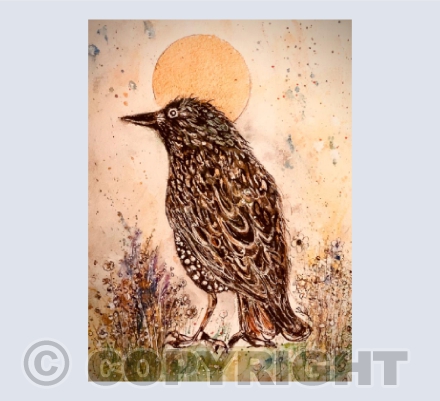 Mr Starling