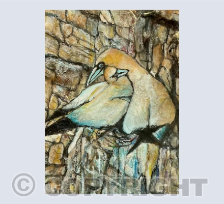 Gannets in love