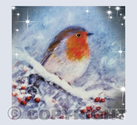 Snowy Robin