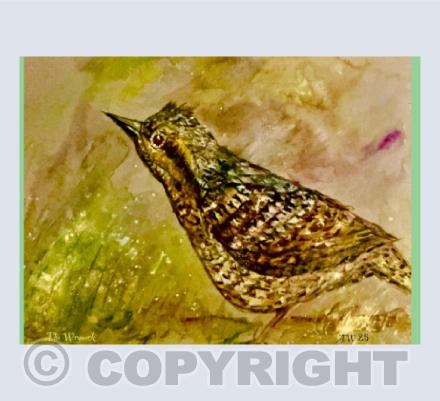 wryneck