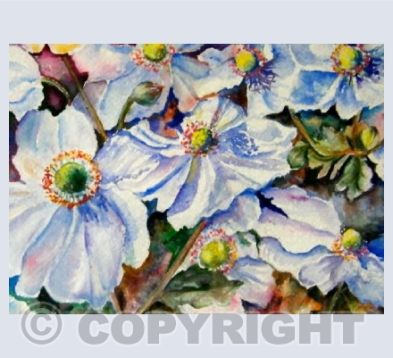 Japanese Anemones