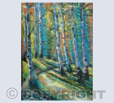 The path through the woods