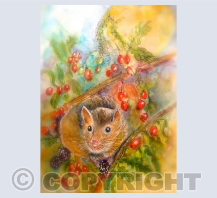 Harvest Mouse