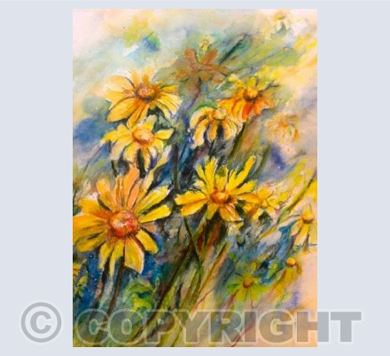 Yellow Daisies