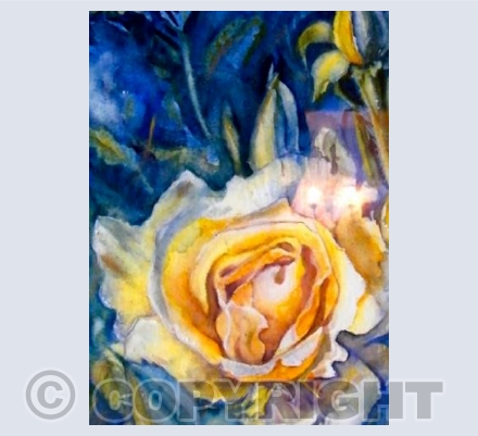 Yellow Rose