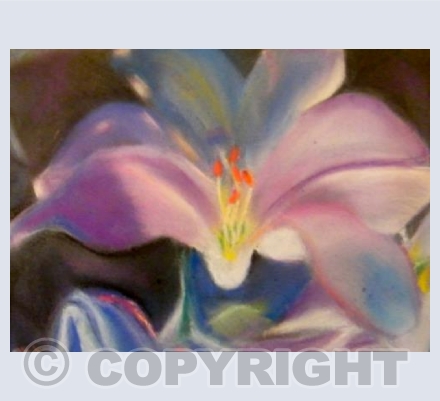 Orchid