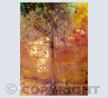 Spooky Trees of Pendle Forest