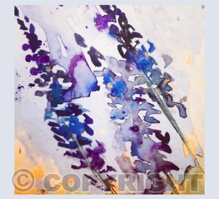 Lavender