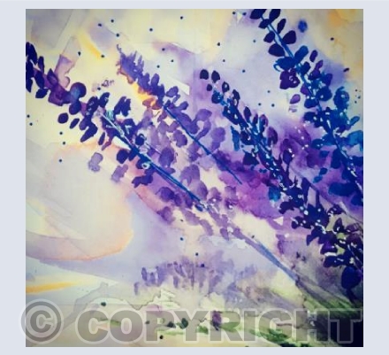 Lavender's Blue 