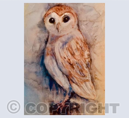 Owl