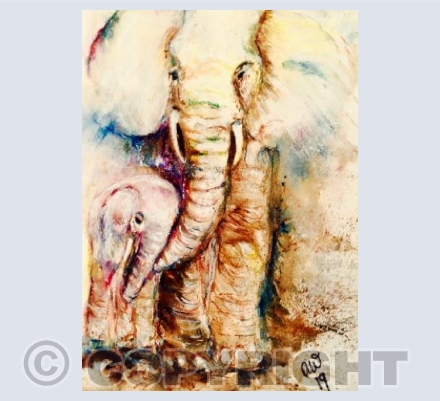 Elephants