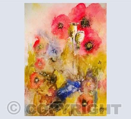 Poppies and seed heads