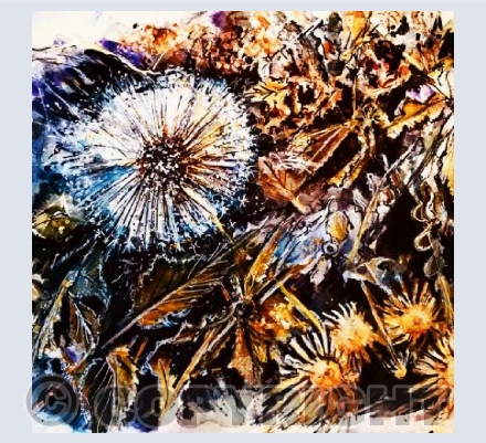 Dandelions 