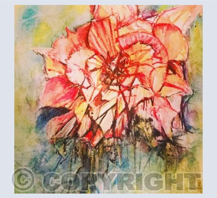 Quirky rose