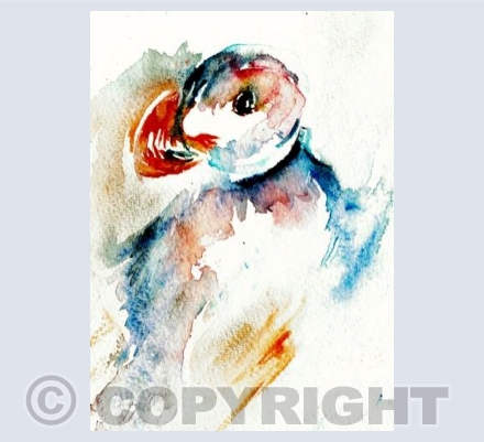 Puffin
