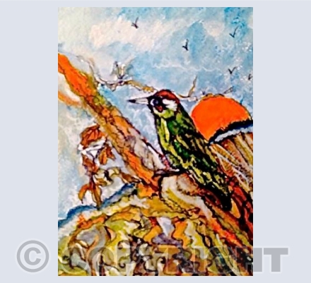 Green Woodpecker