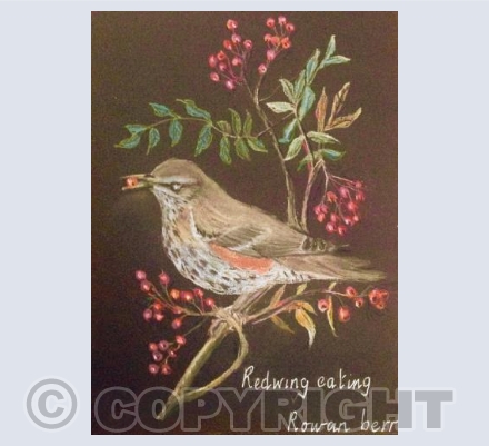 Redwing and Rowan