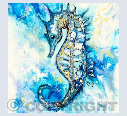 Seahorse 