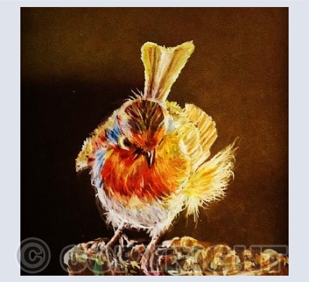 Angry Robin