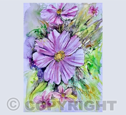 Cosmos 