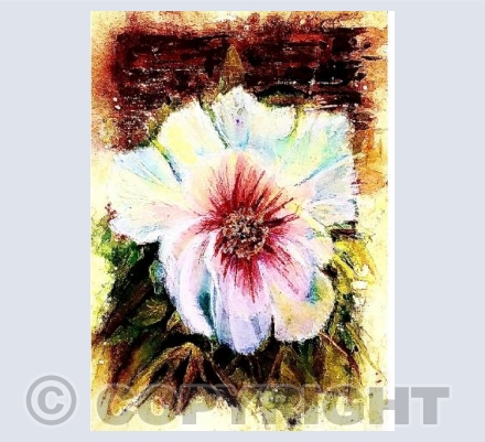 Peony