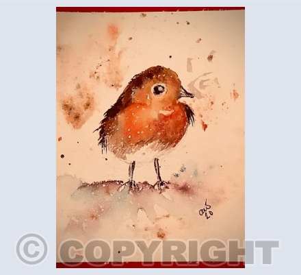 Baby Robin 