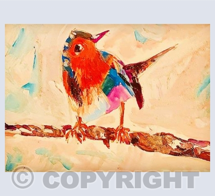 Nosey Robin 