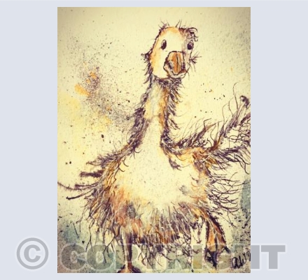 Frilly Duck