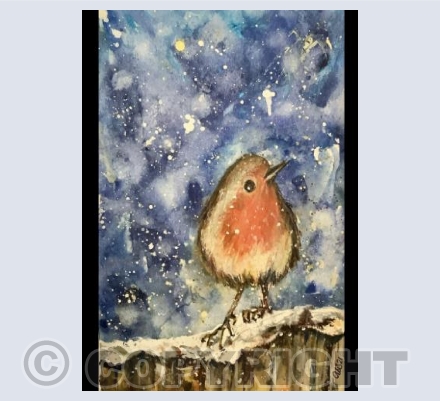 Snowy Robin