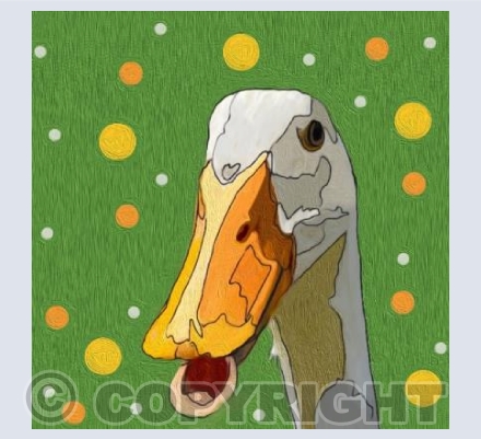 'Quack'
