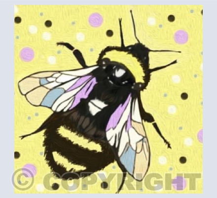 'Spotty Bee'