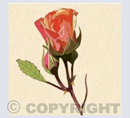 'A Rose By Any Other Name..'