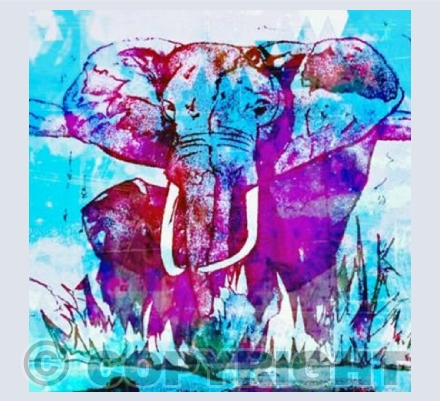 'Elephants-Ester and Elsa