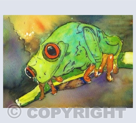 'Terence The Tree Frog'