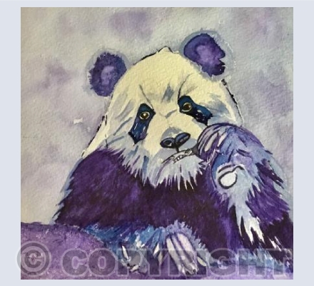 ‘Bored Panda’