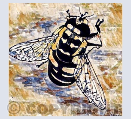 ‘Mr Bumble’