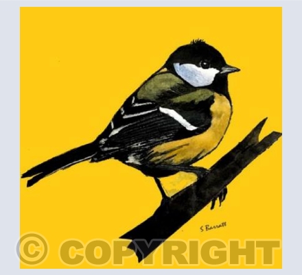 'Great Tit'